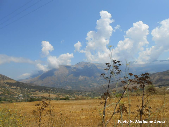 9 Sicilian Landscape Marianne Lopez