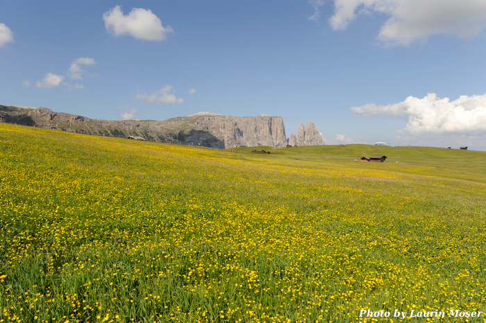 3 Siusi Alp Laurin Moser