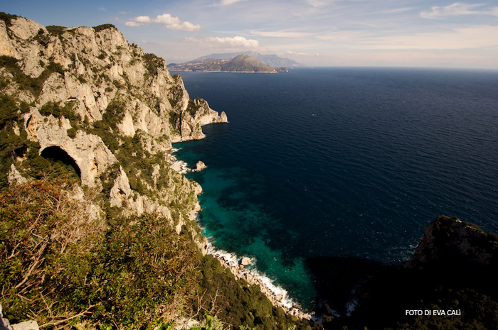 Campania 35 copia