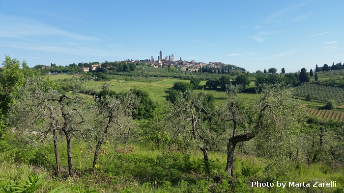 2 San Gimignano marta zarelli