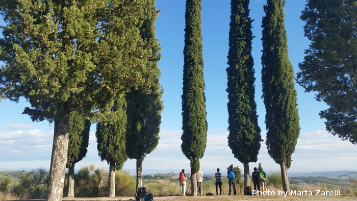 4 Via Francigena Colle Val d Elsa marta zarelli