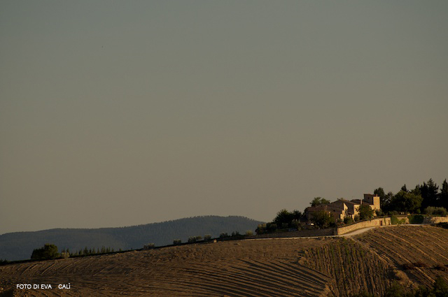CHIANTI 1