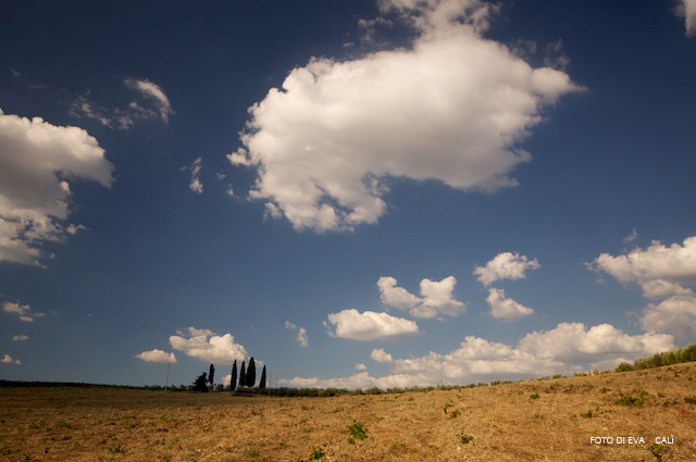 CHIANTI 8