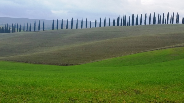 Day 3 Tuscany Southern Toscany Italy hiking tasting wine Siena ph Marta Zarelli