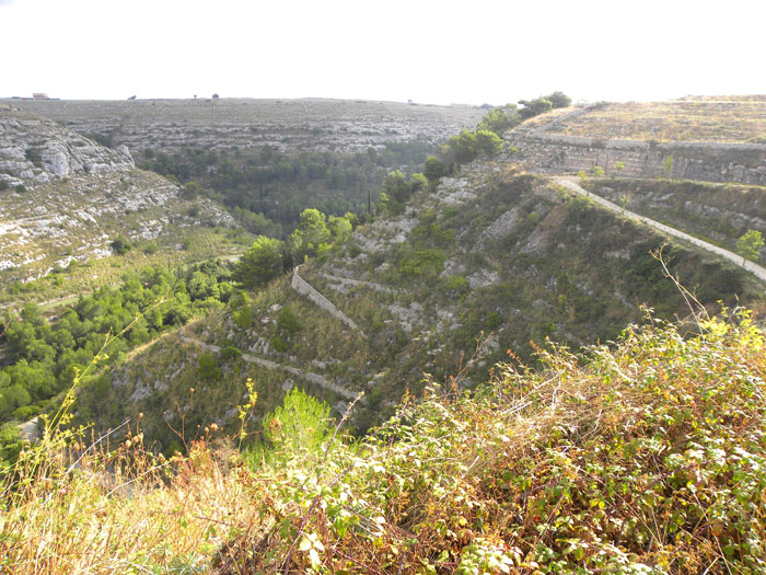 cavamisericordia