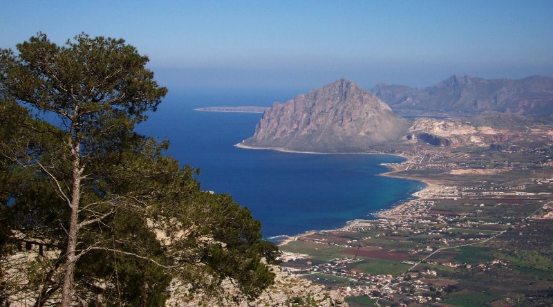erice