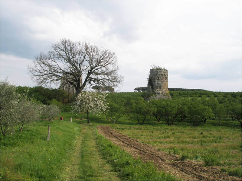 Vetralla