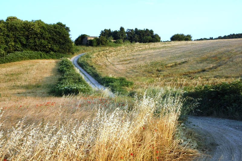 Via Francigena