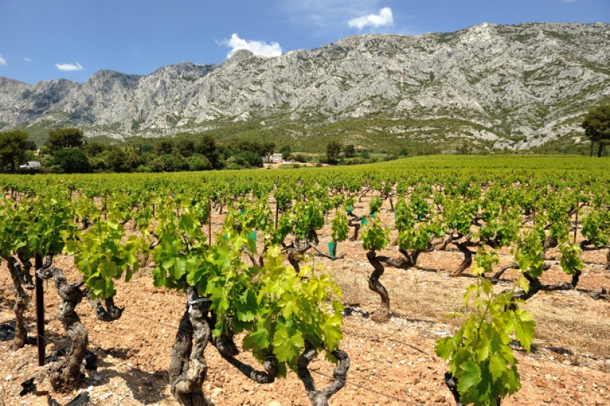 The best of Provence A dream vacation in the South of France